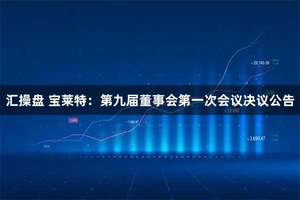 汇操盘 宝莱特：第九届董事会第一次会议决议公告