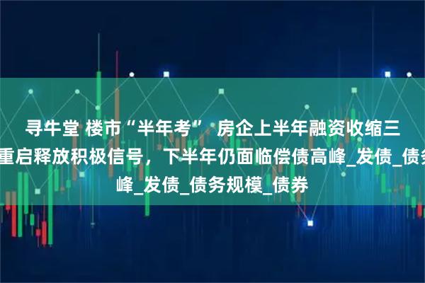 寻牛堂 楼市“半年考”  房企上半年融资收缩三成：境外债重启释放积极信号，下半年仍面临偿债高峰_发债_债务规模_债券