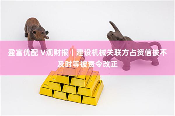 盈富优配 V观财报｜建设机械关联方占资信披不及时等被责令改正